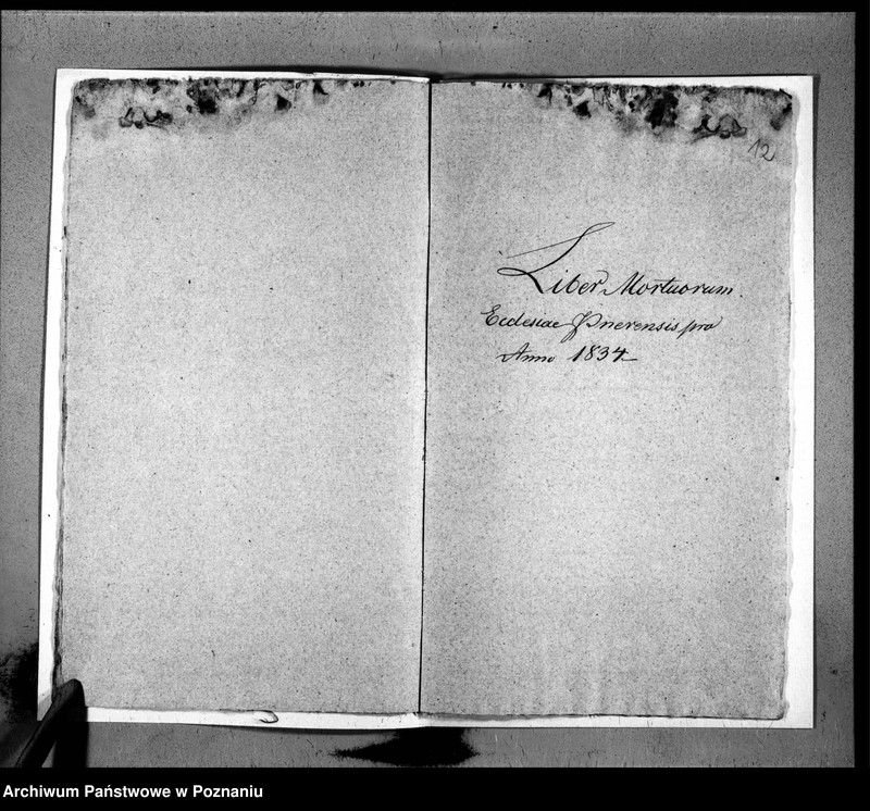 Obraz 9 z jednostki "Duplicat baptisatorum, copulatorum, mortuorum"