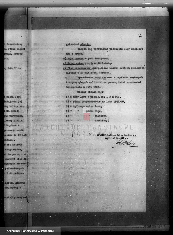 Obraz 11 z jednostki "Plan urządzenia gospodarstwa leśnego dla lasu majętności Grąblewo w powiecie nowotomyskim"