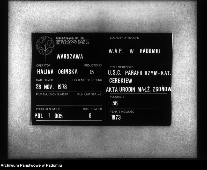 image.from.unit.number "Duplikat aktov o uroždennyh, brakosočetannyh i umeršyh Cerekevskago Prihoda na 1873 god"