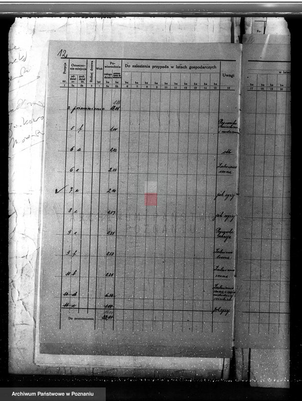 Obraz 16 z jednostki "Plan urządzania gospodarstwa leśnego dla lasu majętności Jezierzyce powiat kościański 1927-1938"