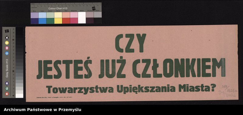 Obraz 6 z kolekcji "Towarzystwo Upiększania Miasta Przemyśla111"