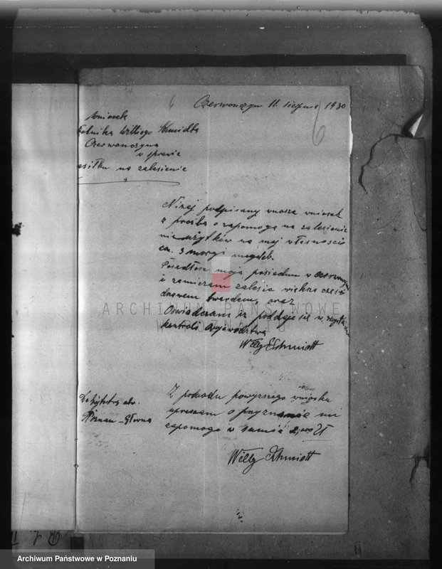 Obraz 10 z jednostki "Zalesienie nieużytków w powiecie poznańskim"