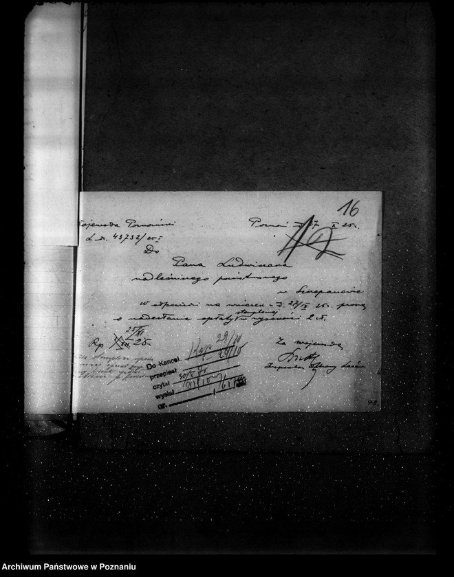 Obraz 20 z jednostki "Gospodarka leśna kościoła katolickiego Wieszki powiat szubiński"