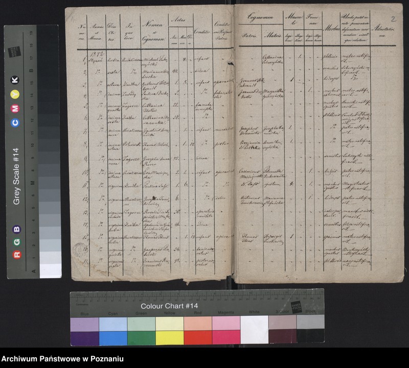 Obraz 3 z jednostki "Spis zgonów"