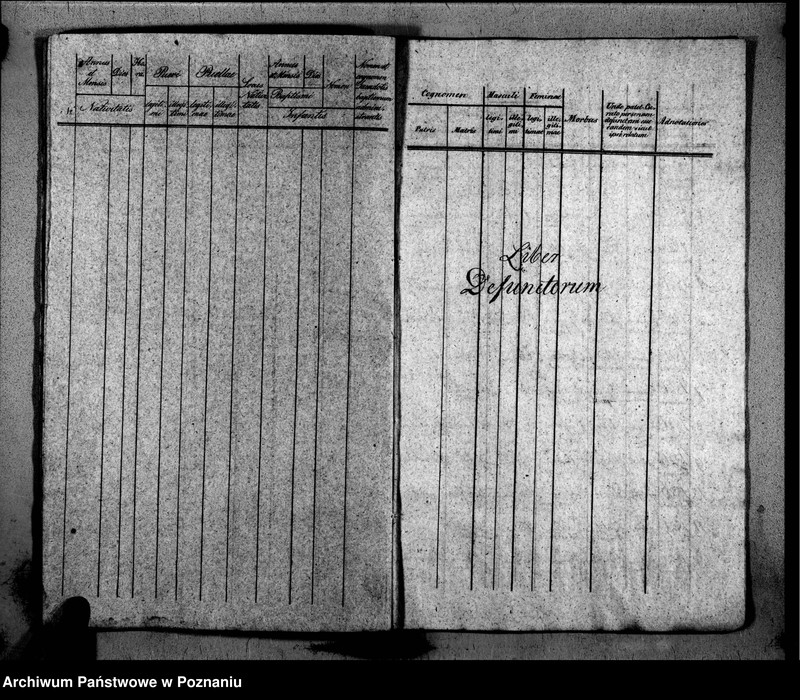 Obraz 12 z jednostki "Duplikat libri baptisatorum, copulatorum, mortuorum"