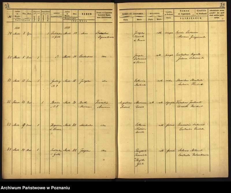 Obraz 17 z jednostki "Księga urodzin"