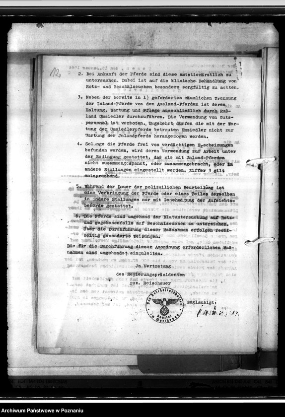 Obraz 16 z jednostki "Einfuhr von Tieren aus den besetzten Ostgebieten - auch der Schwarzmeerdeutschen"