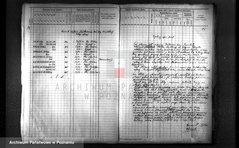 Obraz 15 z jednostki "Plan urządzenia gospodarstwa leśnego dla lasu Berty Stelter w Piotrowie powiat szamotulski 1930-1940"