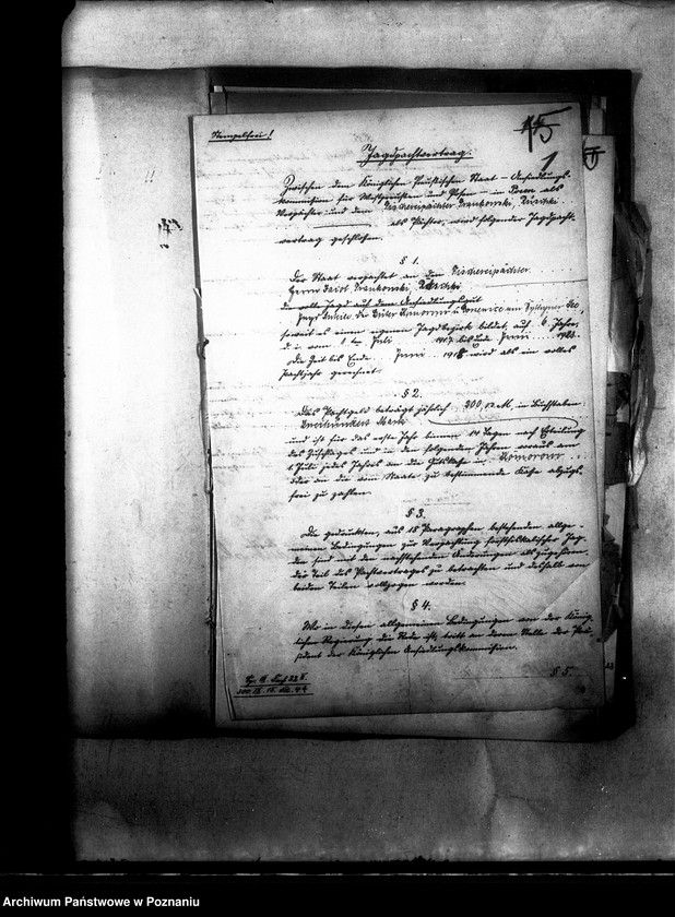 Obraz 5 z jednostki "Polowanie na jeziorze Bytyńskim Komorowo-Gorzewice"