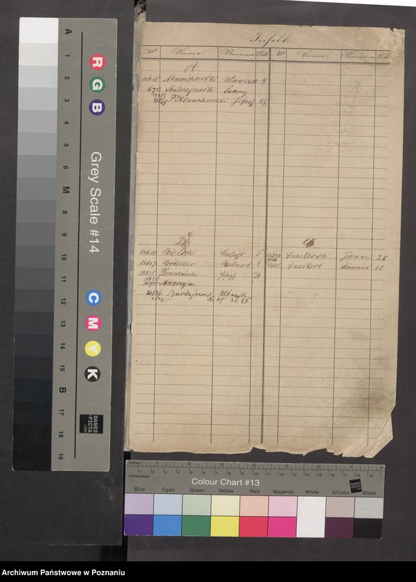 image.from.unit.number "A. betr. die Zuzüge zu den Insurgenten von Preussen nach Polen"