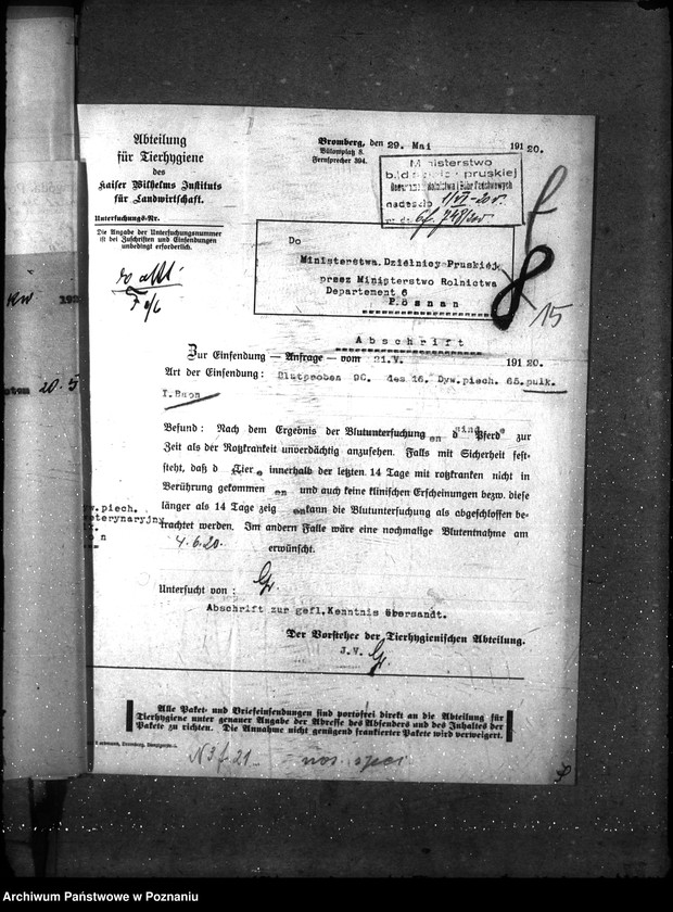 Obraz 18 z jednostki "Sprawy szczegółowo-Nosacizna"