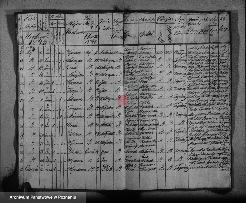 Obraz 7 z jednostki "Księga urodzonych"