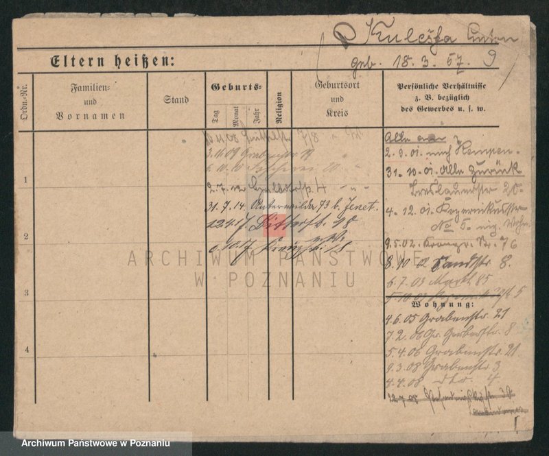 Obraz 8 z jednostki "Kulesz - Kulpacki"