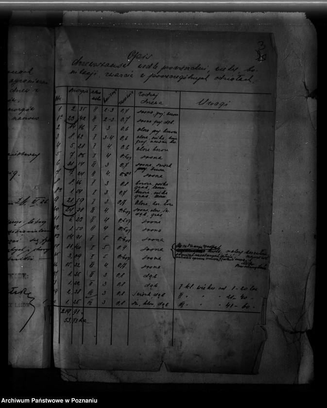 Obraz 7 z jednostki "/Majętność leśna Ruchowo powiat mogileński/"