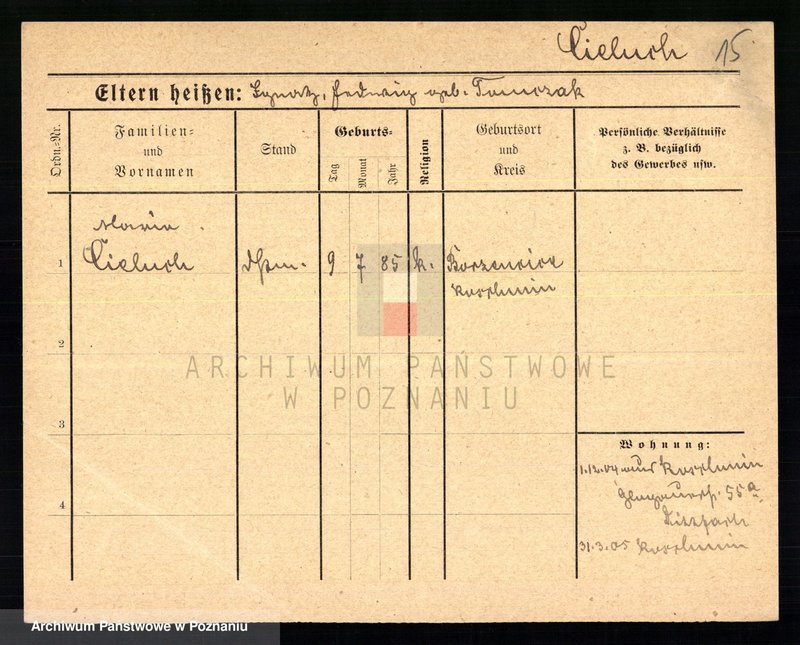 Obraz 17 z jednostki "Cieluch - Ciesielczyk"