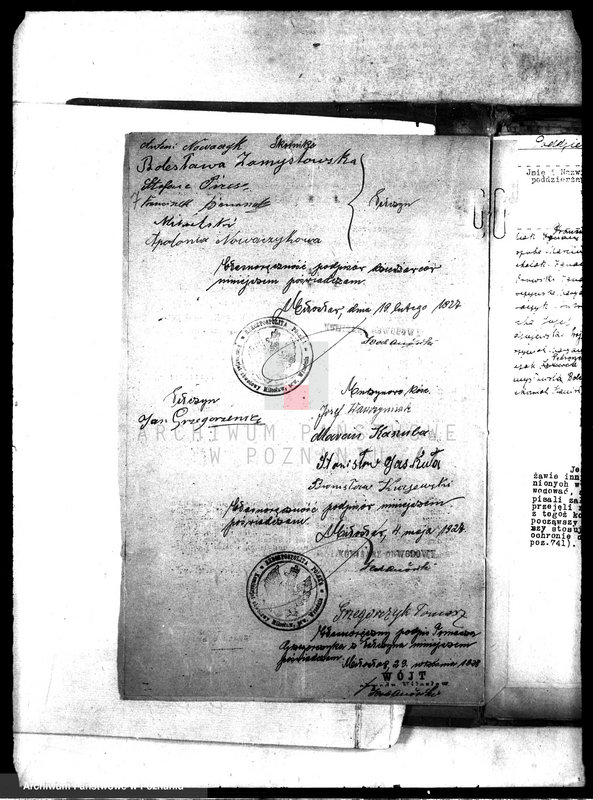 Obraz 11 z jednostki "Poddzierżawy majątku państwowego Pałczyn"