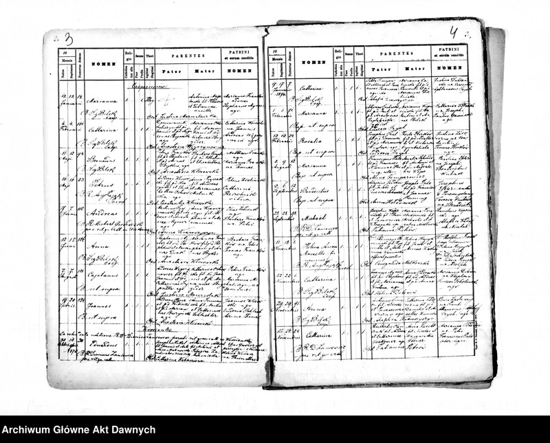 image.from.unit.number "Parafia: Przemyślany. Dekanat: Świrz. Kopie z ksiąg metrykalnych ur., śl., zg. dla miasta Przemyślany i wsi: Biłka, Borszów, Brykoń, Brzuchowice, Czupernosów, Krosienko, Ładańce, Meryszczów, Pletenice, Pniatyn, Psiworogi, Uniów, Uszkowice, Wołków, Wypyski."