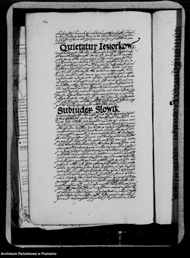 Obraz 9 z jednostki "Inscriptiones, relationes, decreta [inducta]"