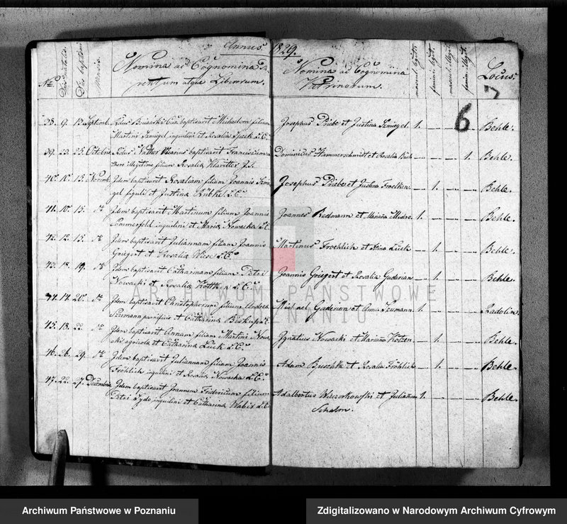image.from.unit.number "Księga małżeństw, urodzeń i zgonów"