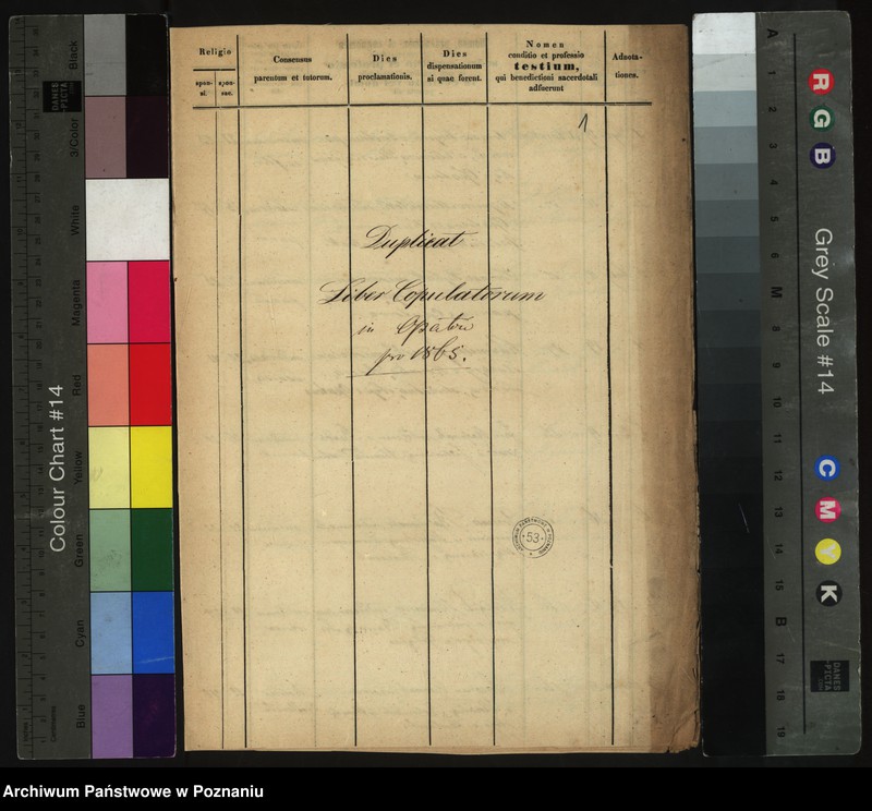 Obraz 3 z jednostki "Duplikat zaślubionych"