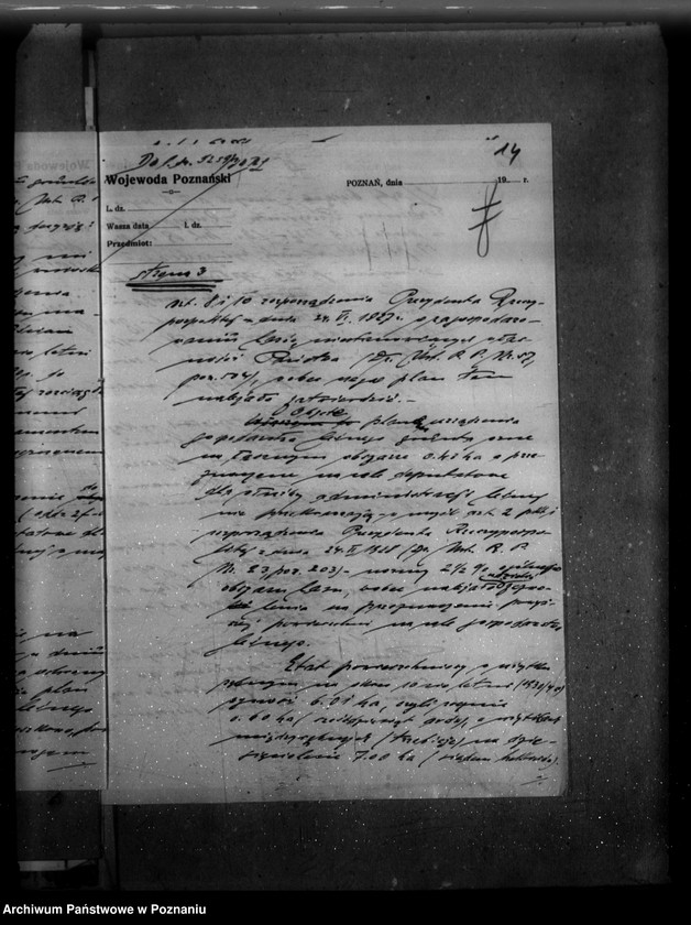 Obraz 19 z jednostki "Majętność /leśna/ Wieszkowo powiat kościański"