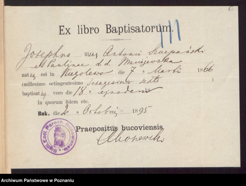 Obraz 8 z jednostki "Die von den Verlobten beigebrachten Urkunden zur Eheschliessung pro 1896"