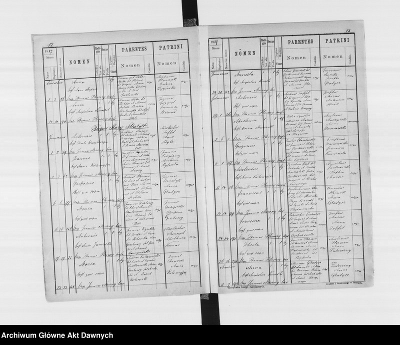 image.from.unit.number "Parafia: Skałat. Dekanat: Skałat. Księga metrykalna urodzeń, ślubów i zgonów dla miasta Skałat i wsi: Bogdanówka*, Horodnica, Kamionki*, Krzywe, Kołodziejówka**, Nowosiółka, Mołczanówka***, Połupanówka****, Panasówka**, Poznanka Zgniła, Rosochowaciec*, Stary Skałat****."