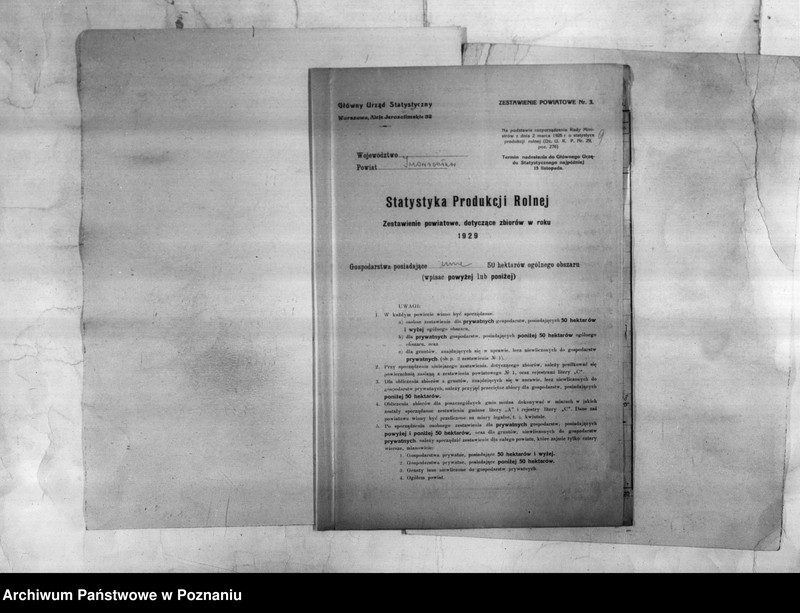 Obraz 10 z jednostki "/Statystyka produkcji rolnej - zestawienie powiatowe - Inowrocław/"