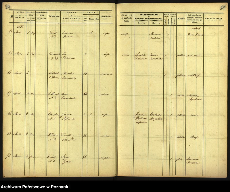 Obraz 13 z jednostki "Księga zgonów"