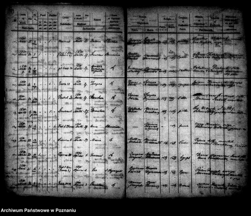 Obraz 11 z jednostki "Księga urodzin"