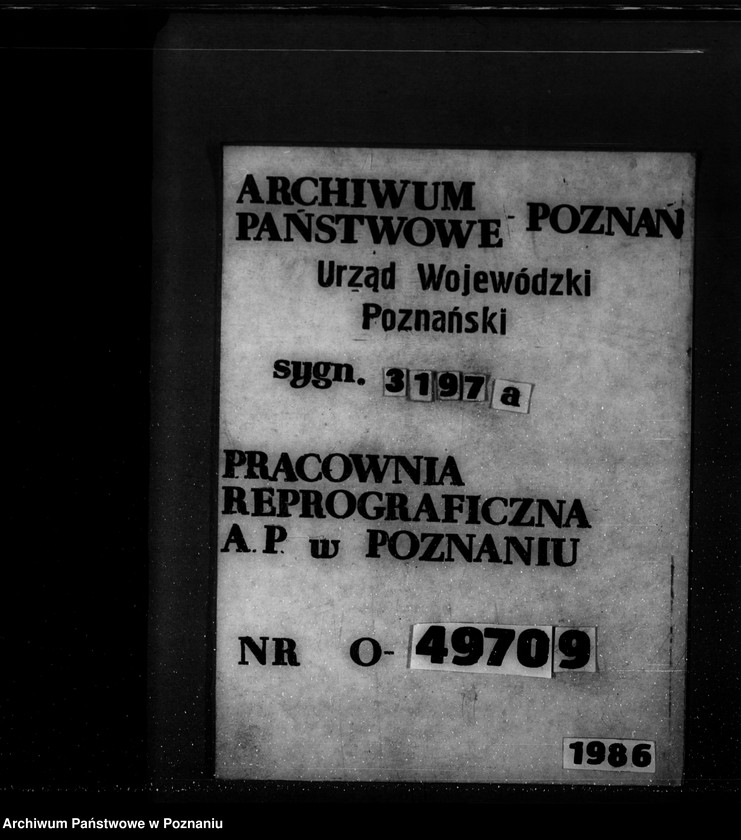 Obraz 1 z jednostki "Sprawa zalesienia majątku Krucz-Goraj"