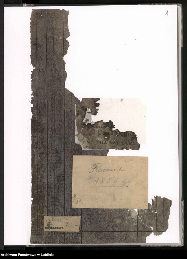 Obraz 3 z jednostki "Księga urodzeń, małżeństw i zgonów"