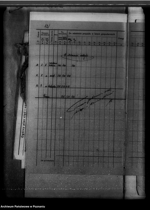 Obraz 16 z jednostki "Majętność Ujazd Rewir Ujazd powiat kościański /Plan urządzania gospodarstwa leśnego/"