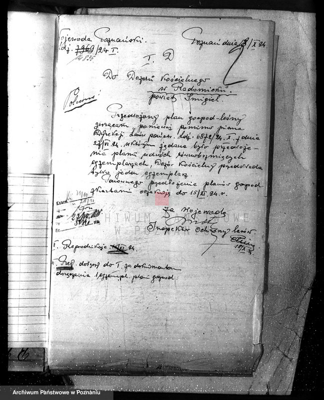 Obraz 6 z jednostki "Las parafialny kościoła w Radomicku powiat kościański"