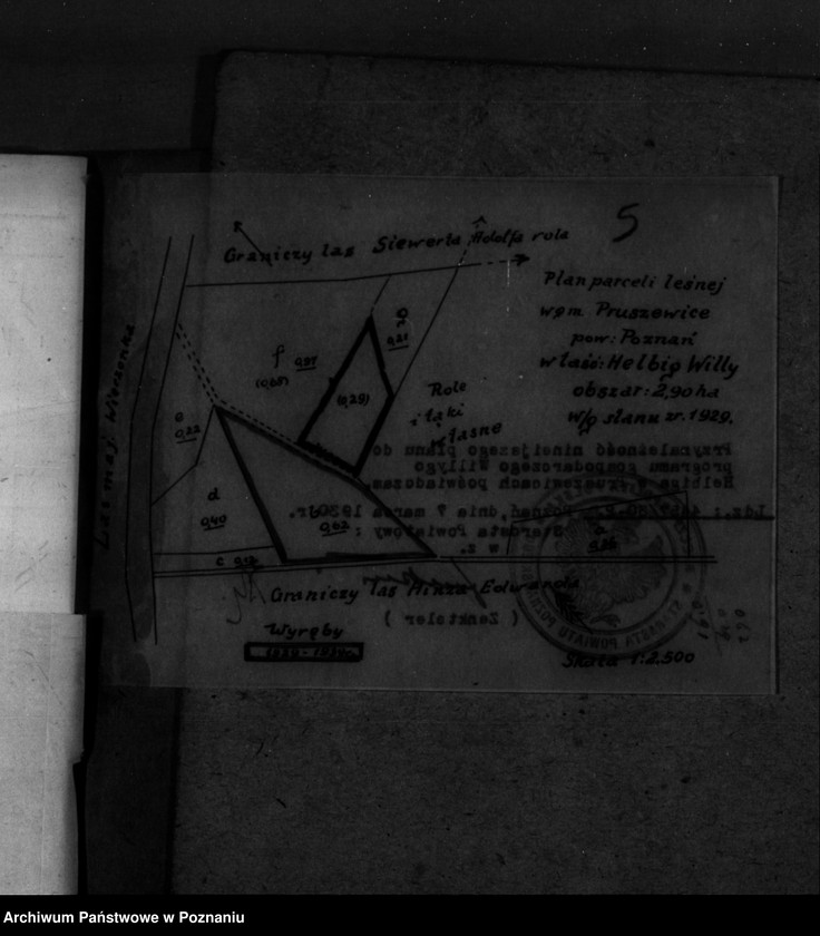 Obraz 10 z jednostki "Program urządzenia gospodarstwa leśnego dla lasu Helbiga Willyego w gminie"