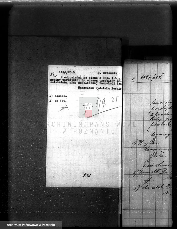 Obraz 16 z jednostki "Zarząd majętności /leśnej/ Tulce"