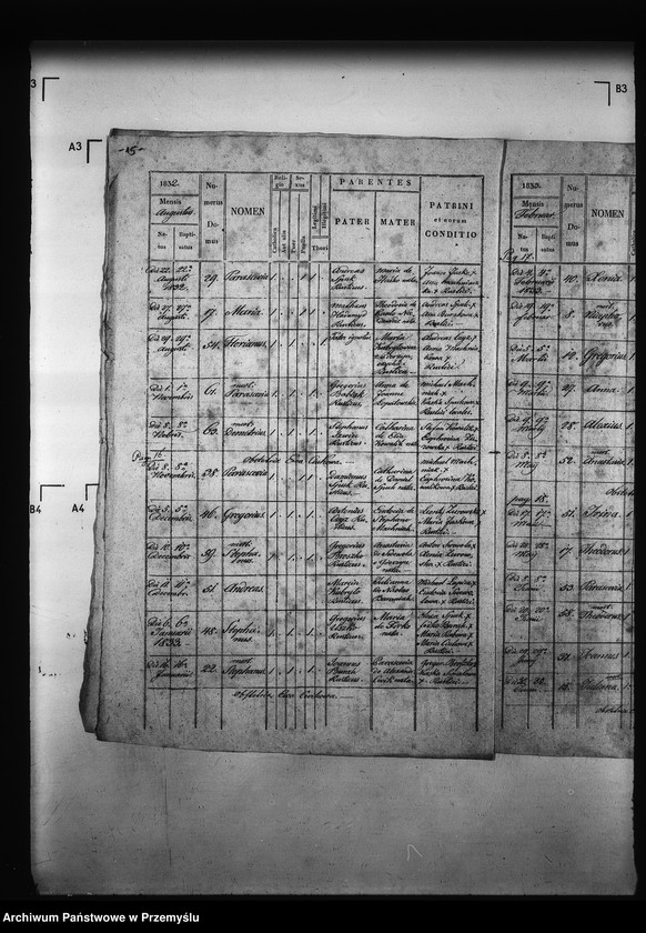 Obraz 19 z jednostki "[Kopie ksiąg metrykalnych parafii Miżyniec z filiami Gdeszyce, Zrotowice (dekanat Niżankowice)]"
