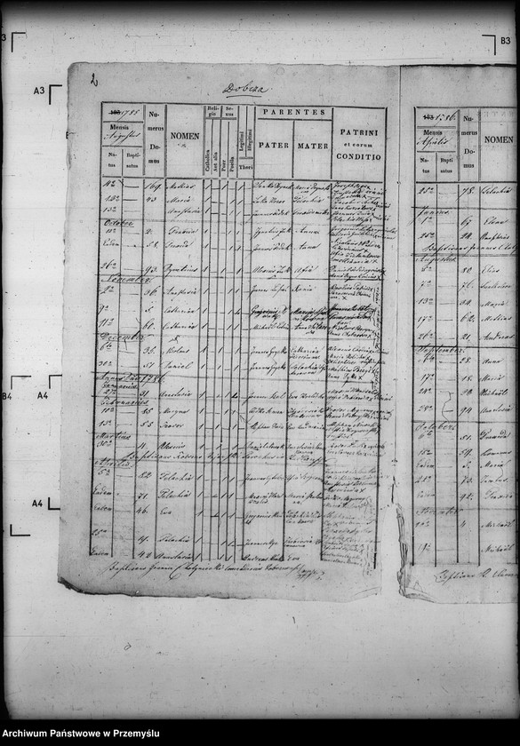 image.from.unit.number "[Kopie ksiąg metrykalnych parafii Dobra z filiami Dobcza, Ścieżki Czerwonowolskie (dekanat Jarosław)]"