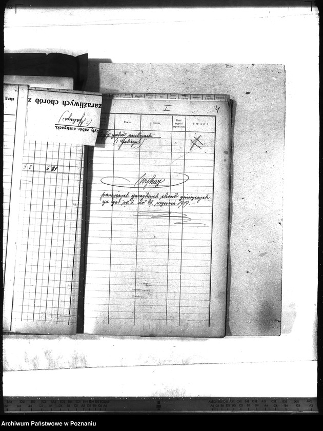 Obraz 9 z jednostki "Wykaz zaraźliwych chorób zwierzęcych Galicja"