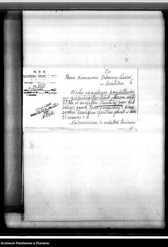 Obraz 10 z jednostki "Sprawa lustracji lasu dóbr Osuchów powiatu kaliskiego oraz sprawa odroczenia terminu zalesienia 3,06 ha gruntów leśnych"