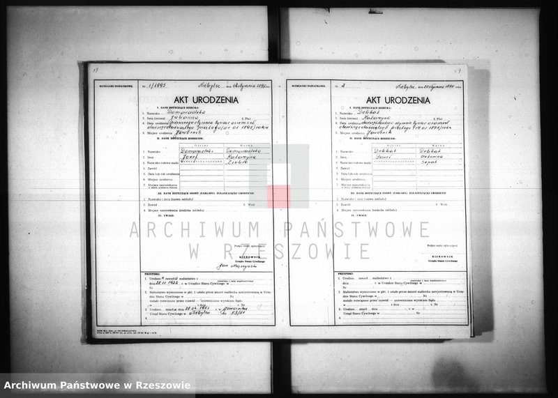 image.from.unit.number "Akta urodzeń Jawornik 1894-1903"