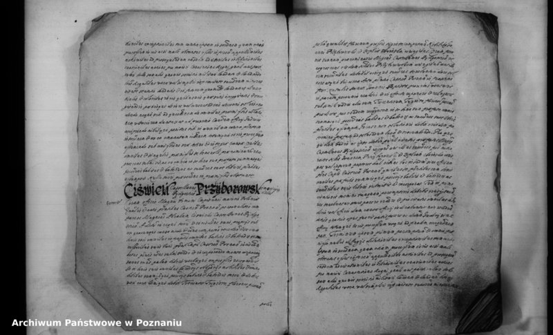 Obraz 8 z jednostki "Inscriptiones [inducta]"