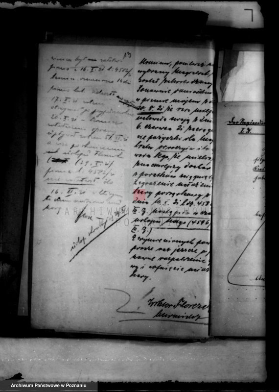 Obraz 17 z jednostki "Administracja miasta Kostrzyna"