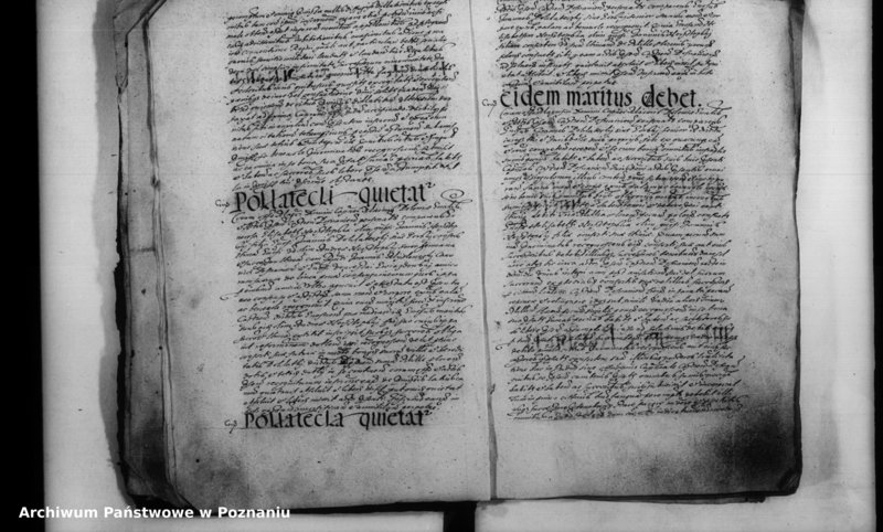 Obraz 9 z jednostki "Inscriptiones [inducta]"