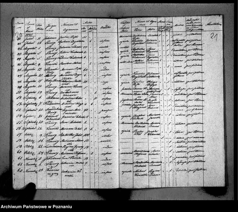Obraz 14 z jednostki "Duplicat baptisatorum, copulatorum, mortuorum"