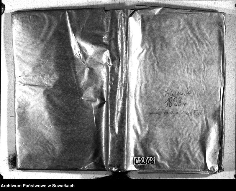 Obraz 2 z jednostki "Duplikat urodzonych, zaślubuionych i zeszłych parafii wieysieysiey na rok 1828"