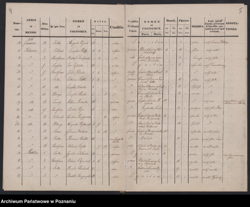 Obraz 5 z jednostki "Księga zgonów"