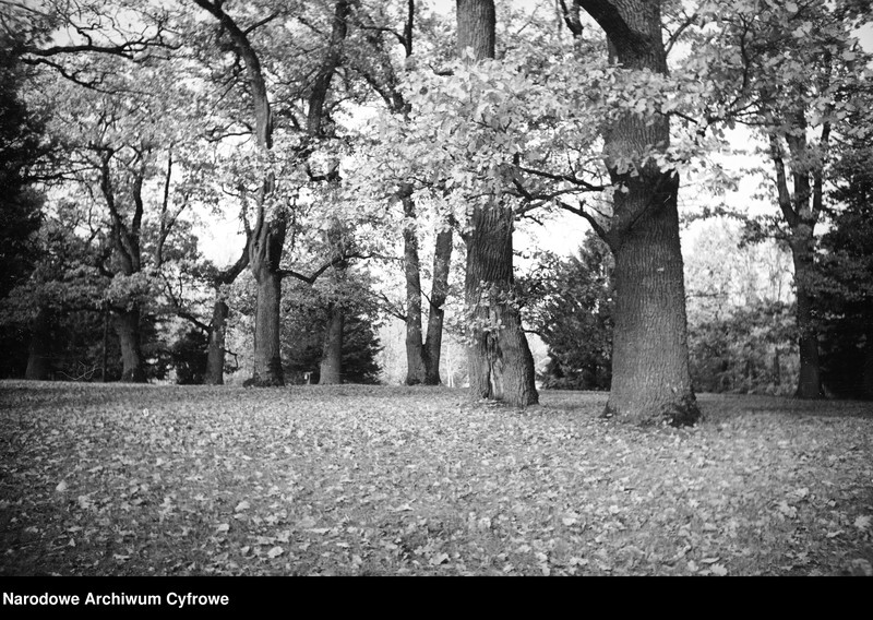 image.from.object.part1 image.from.object.part2