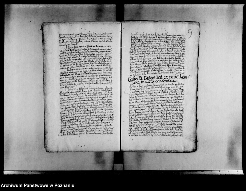 Obraz 12 z jednostki "Decreta [inducta]"