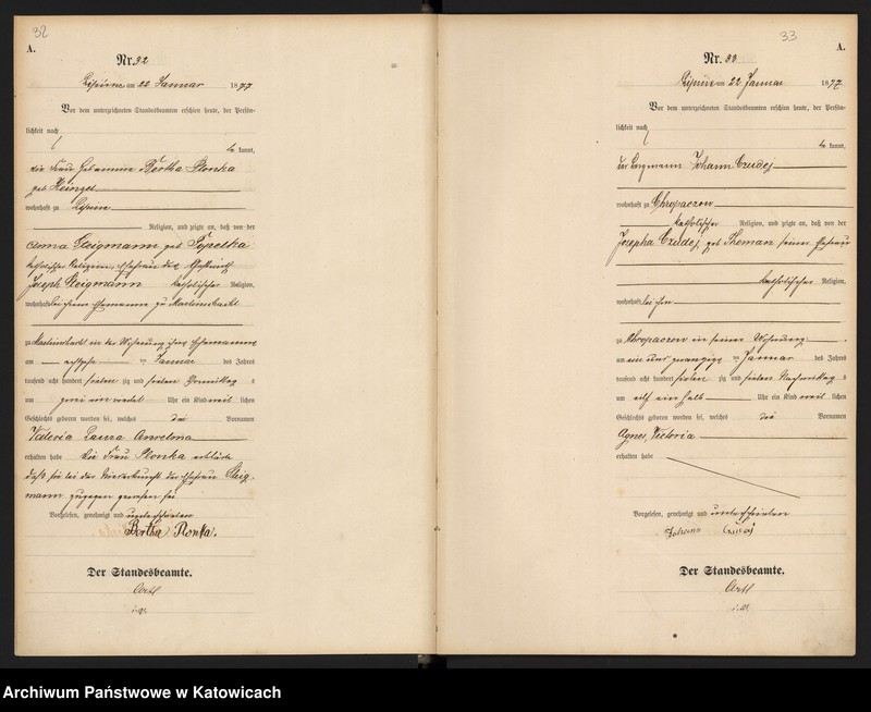 image.from.unit.number "Księga urodzeń T.1 nr 1-356"